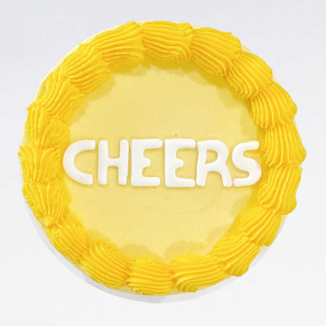 cheers_celebration_diy_cake_kit_top