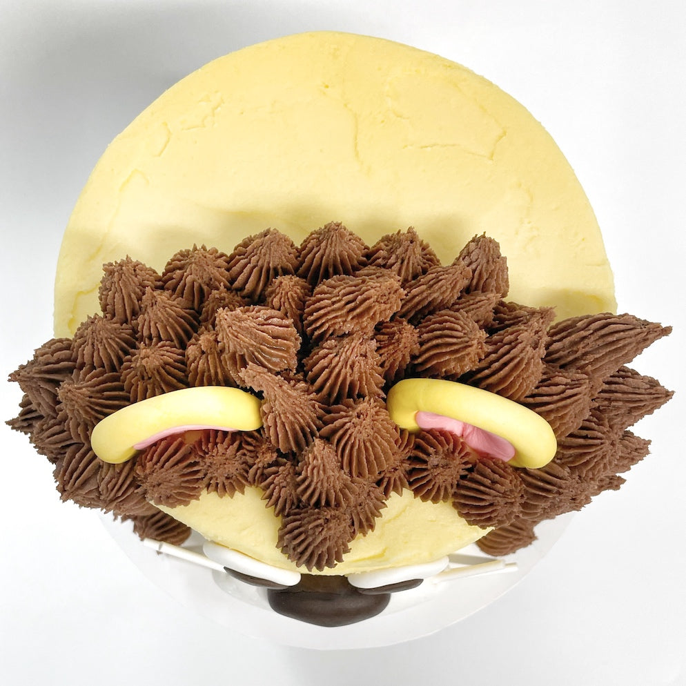 DIY Lion Cake Kit, Safari Animal Cake