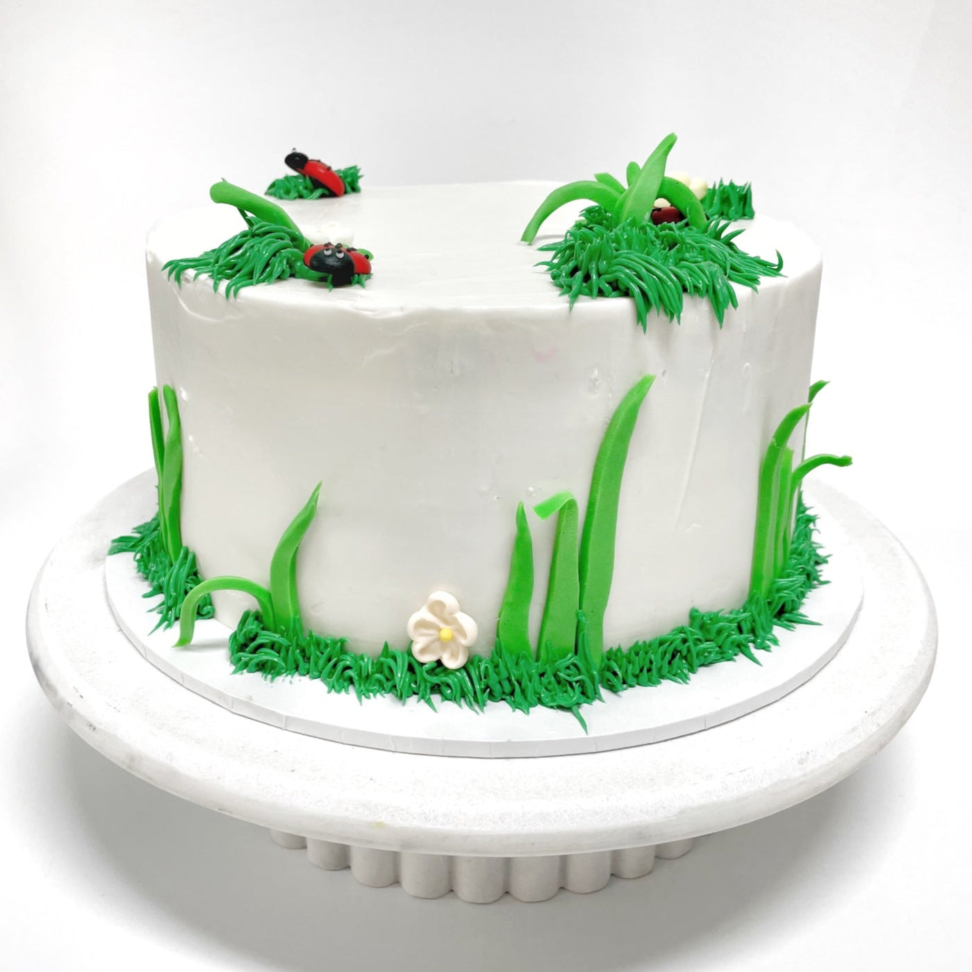 Lady_Bug_Cake_Kit_Back1