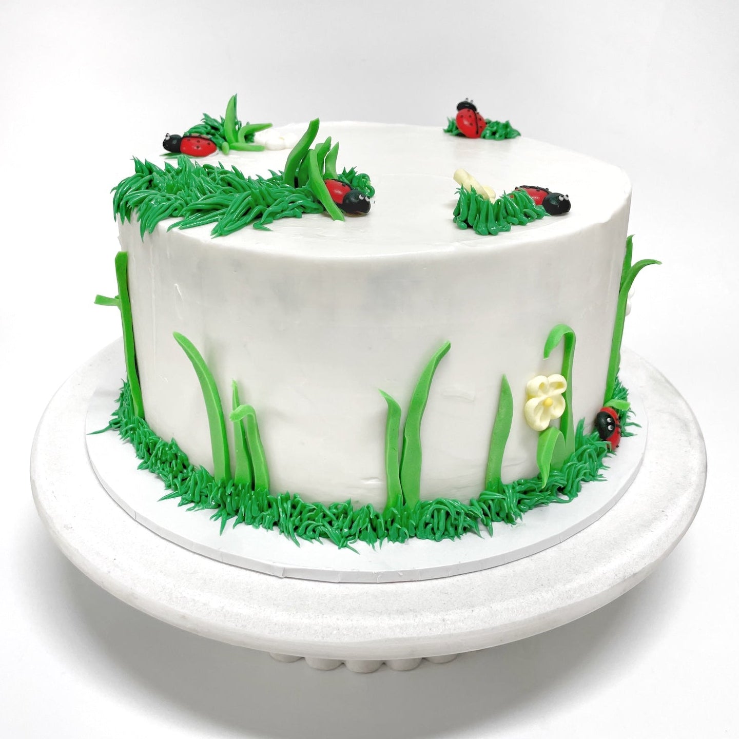 Lady_Bug_Cake_Kit_Side2