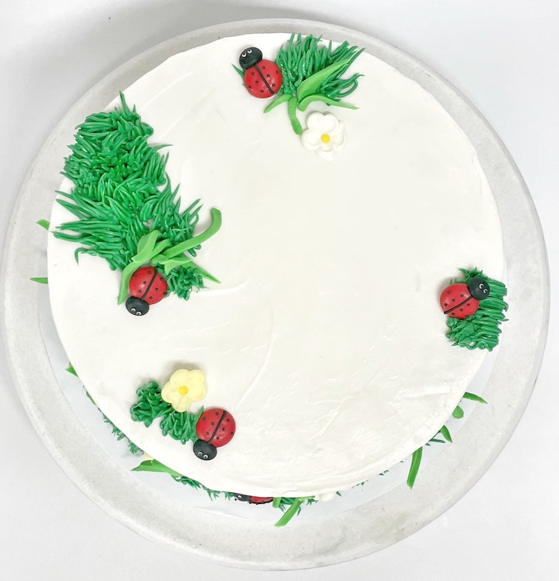 Lady_Bug_Cake_Kit_Top