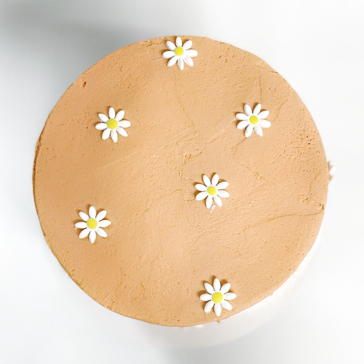Daisy DIY cake kit, flower cake kit, floral cake kit.