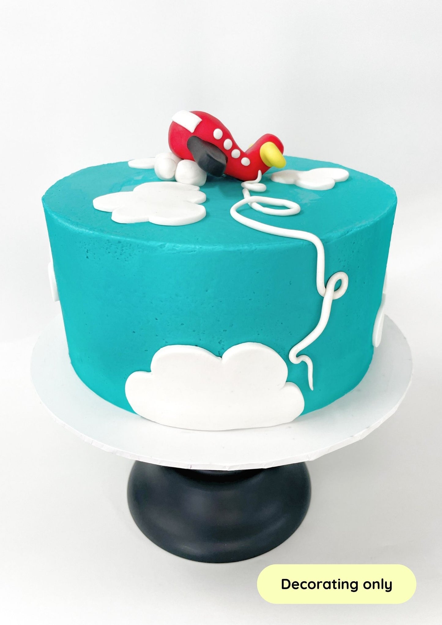 Time Flies Cake Decorating Kit