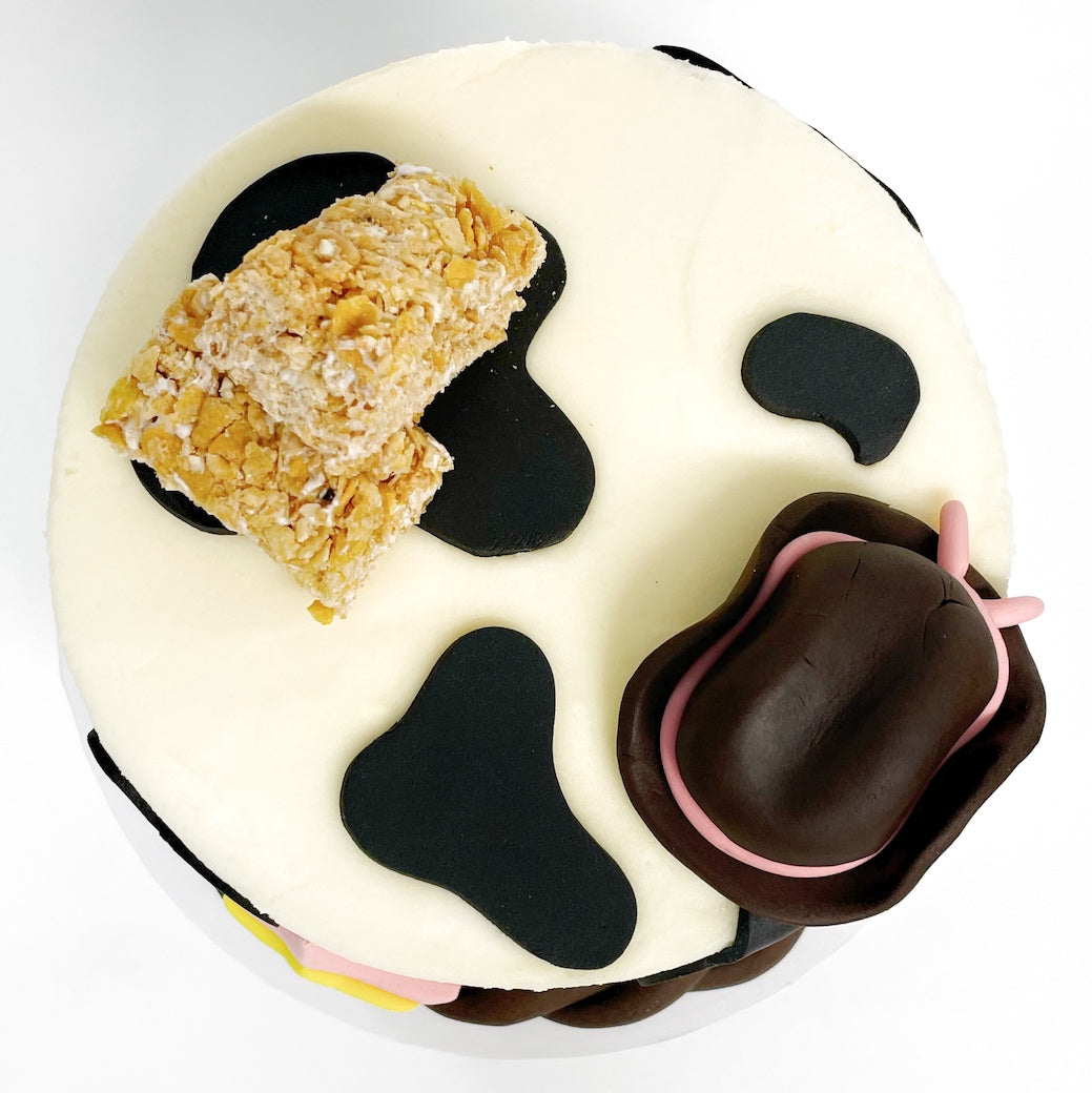 DIY Cowboy Cowgirl Cake Kit, Rodeo Cake, My First Rodeo Party, Girl's Birthday