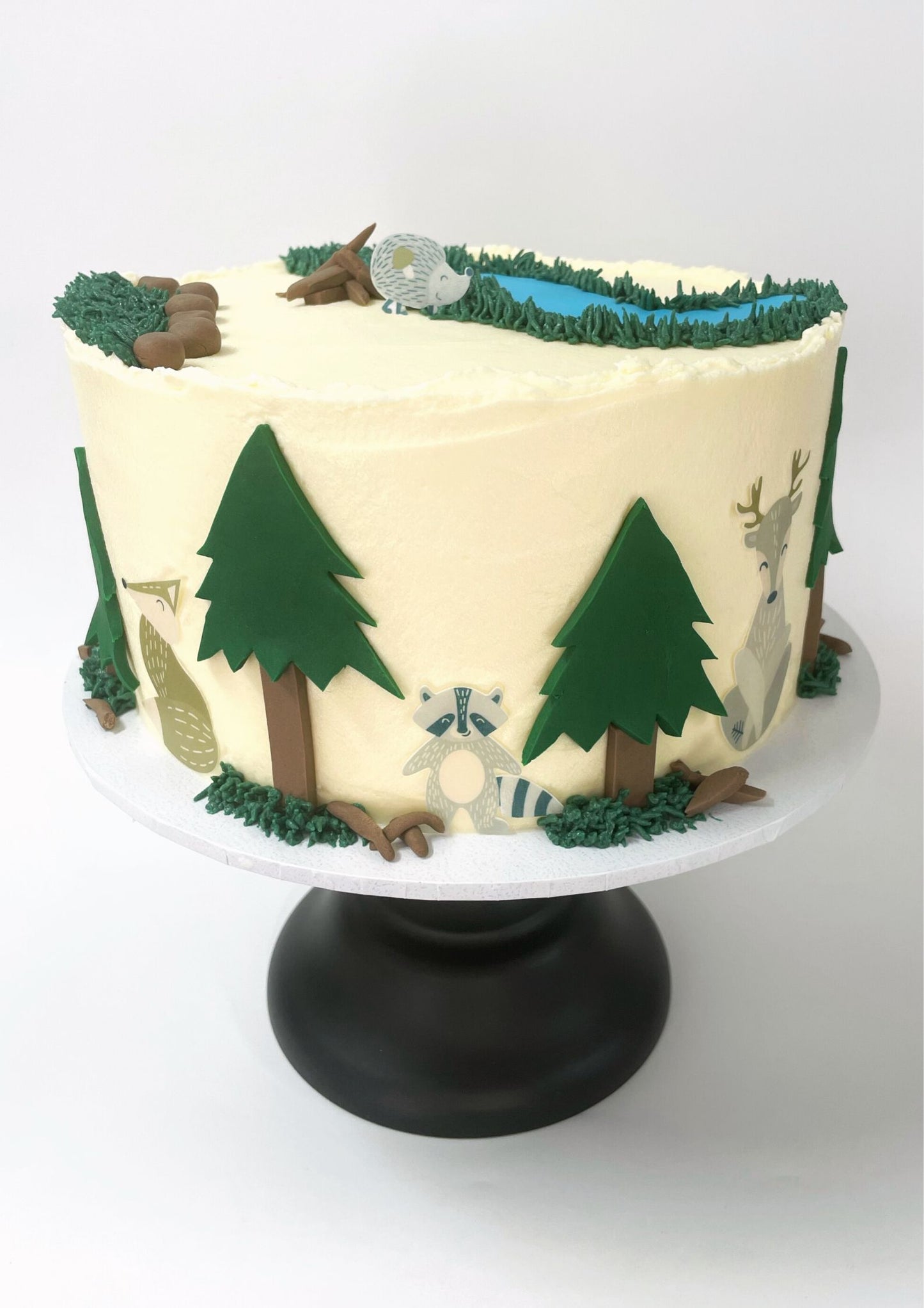 Into The Wild Cake Kit