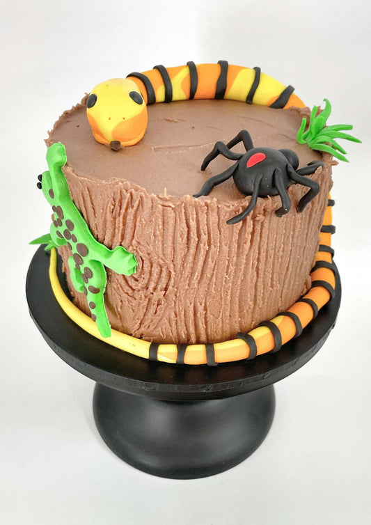 DIY Reptile Cake Kit, Snake Cake, Spider Cake, Lizard Cake