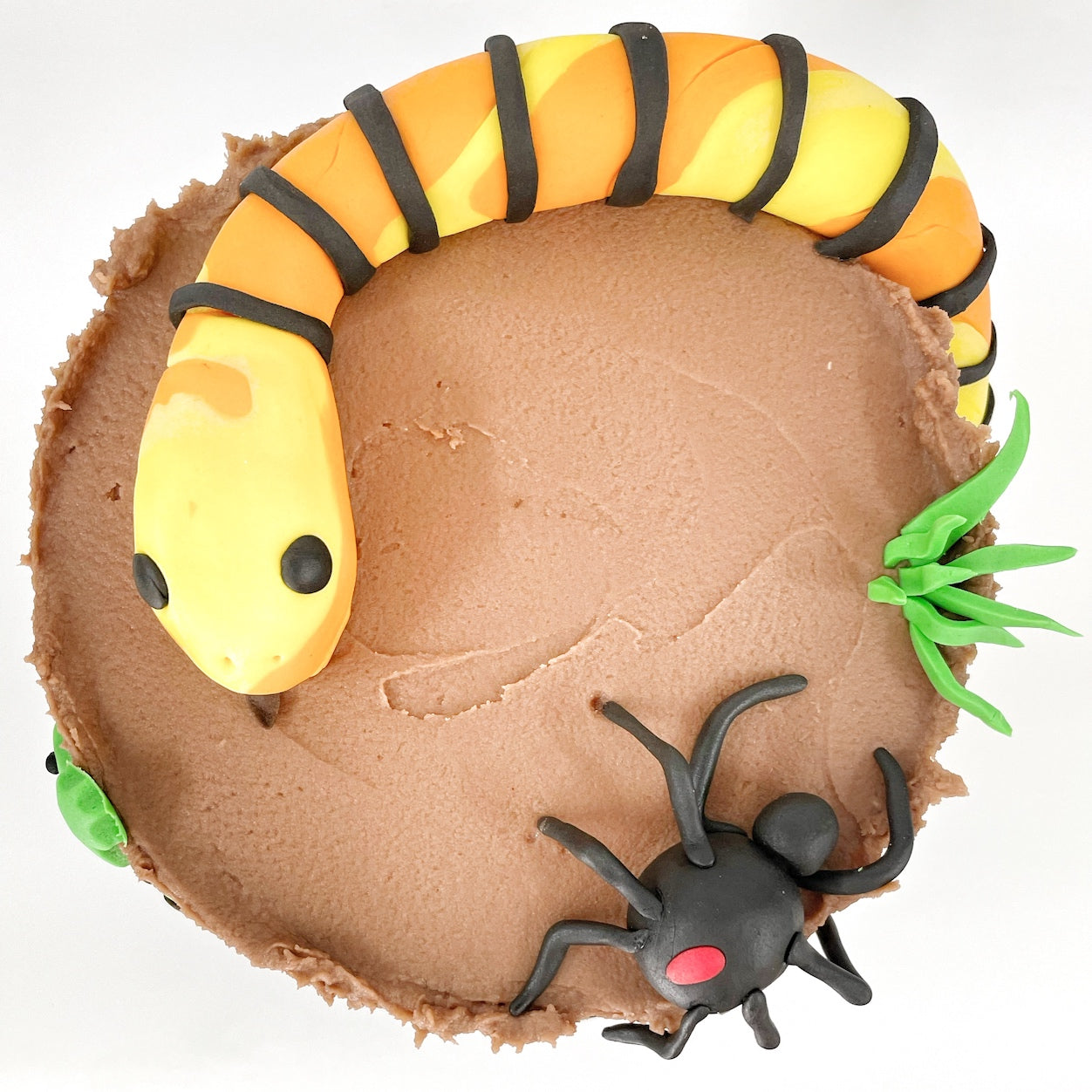 Coolest Lizard Cake | Lizard cake, Cool birthday cakes, Animal cakes