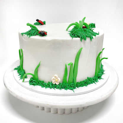 Lady_Bug_Cake_Kit_Back1