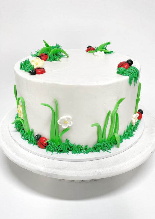 Lady_Bug_Cake_Kit_Front