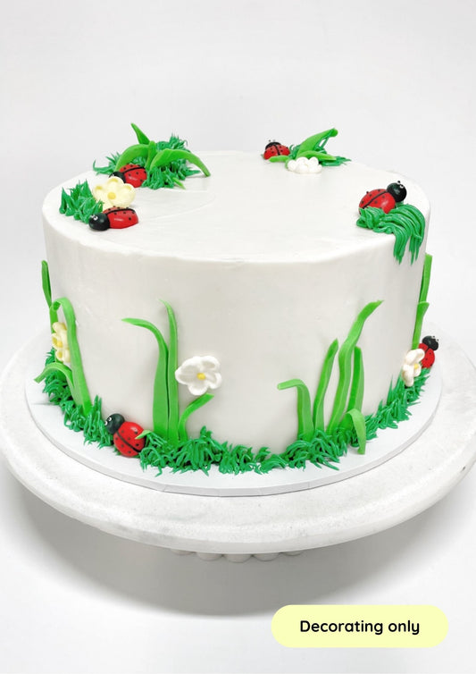 Ladybug_Cake_Decorating_Kit