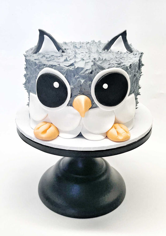 Image of an adorable owl cake created using the Owl DIY Cake Kit