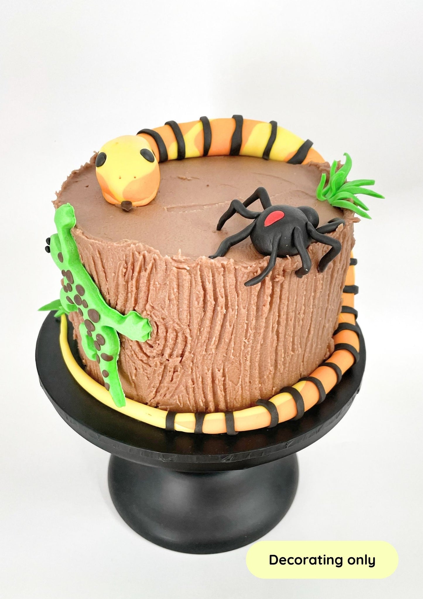 Reptile_Cake_Decorating_Kit