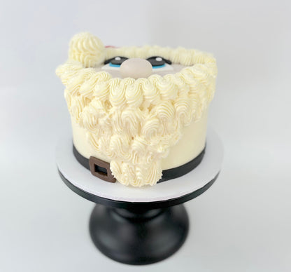 Santa Claus Christmas Cake Kit