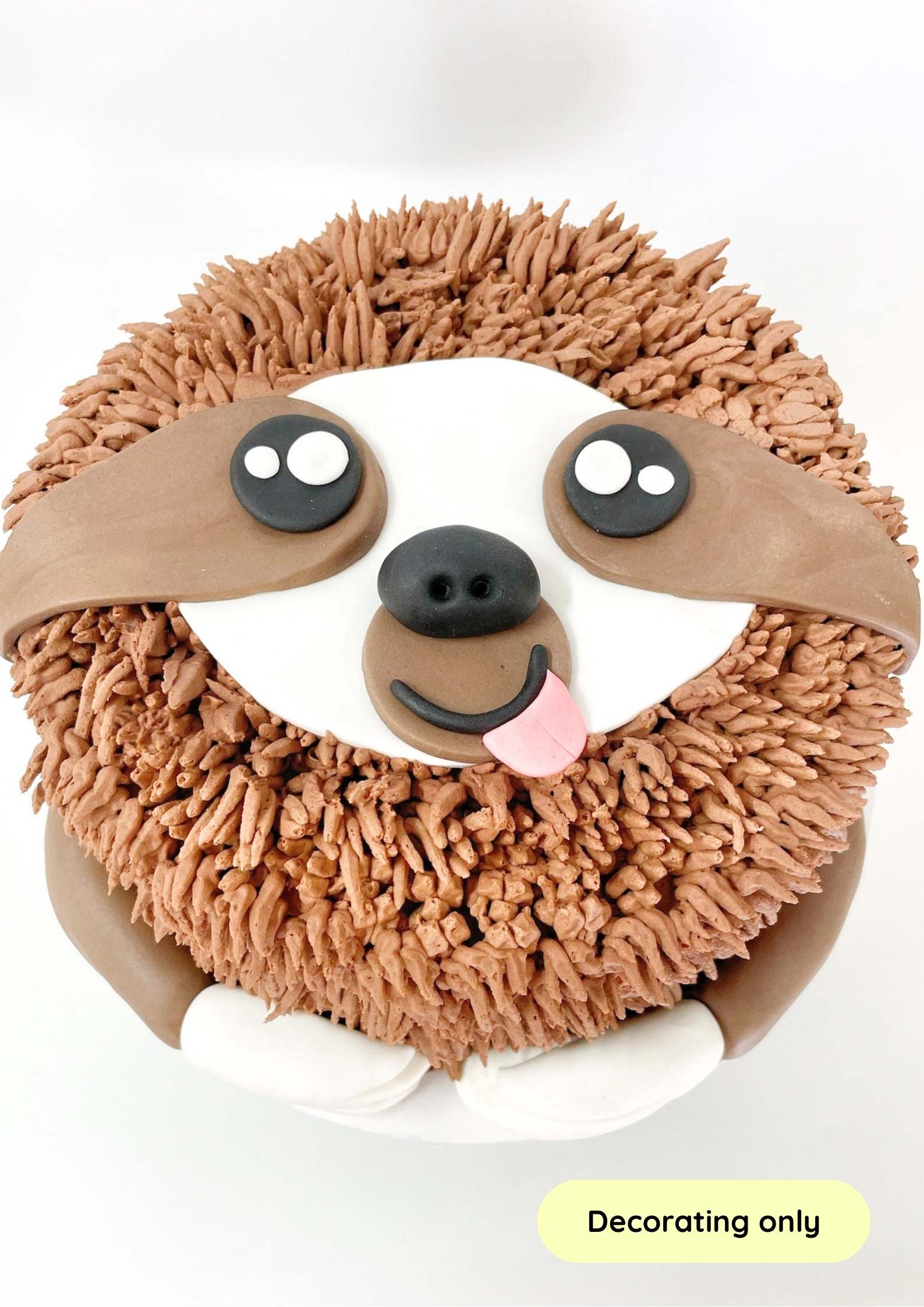 Sid_Sloth_Cake_Decorating_Kit