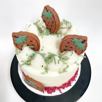 Strawberry_DIY_Doggy_Cake_Kit