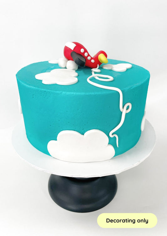 Time Flies Cake Decorating Kit