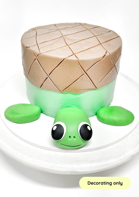 Tito_Turtle_Cake_Decorating_Kit
