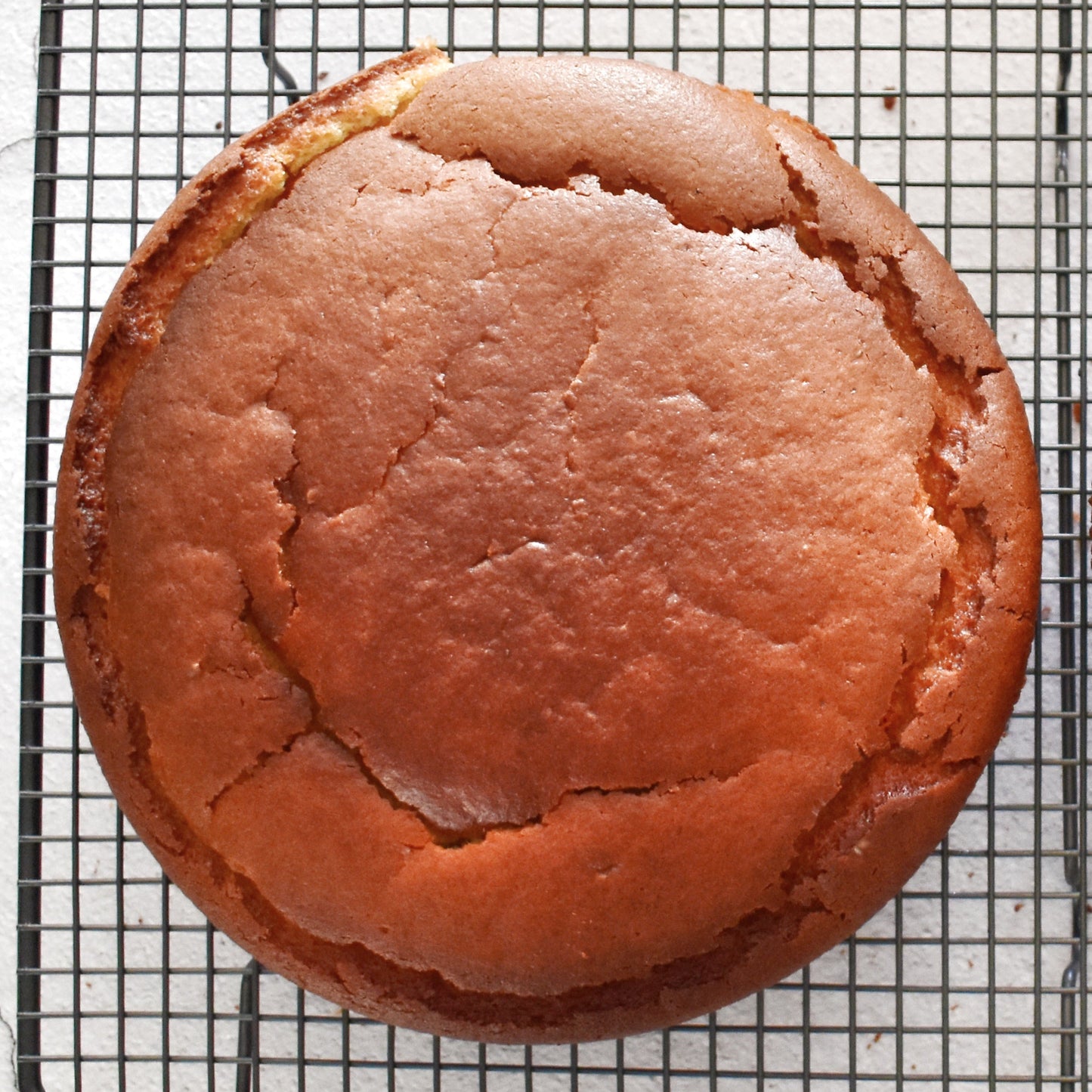 Vanilla_Vegan_Cakes