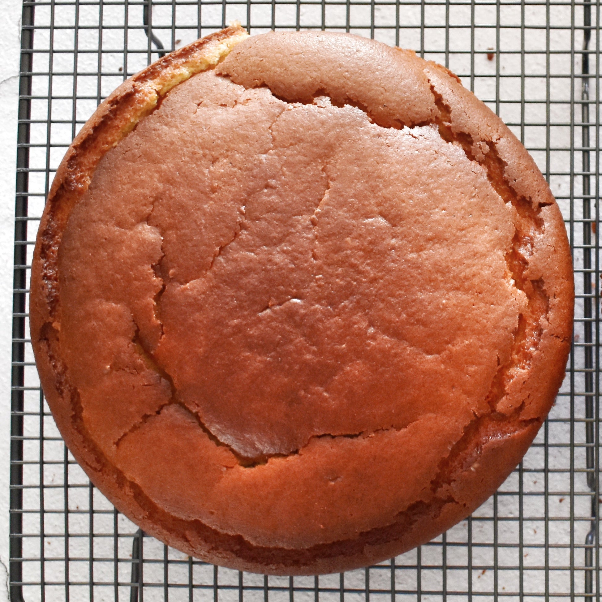 Vanilla_Vegan_Cakes