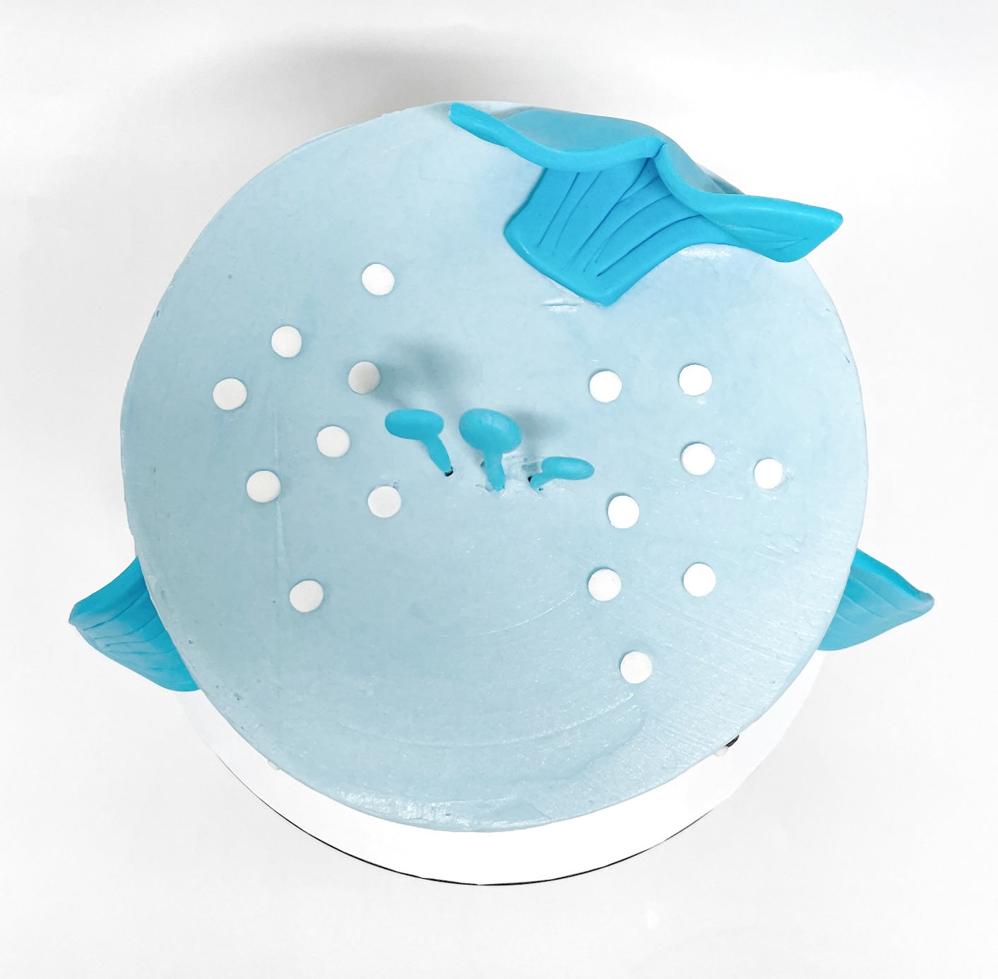 Wally_Whale_Cake_Kit_Top