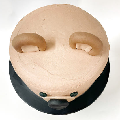 Bear DIY Cake Kit, Forest Animal Cake, Woodland Animal Cake, Teddy Bear Cake.