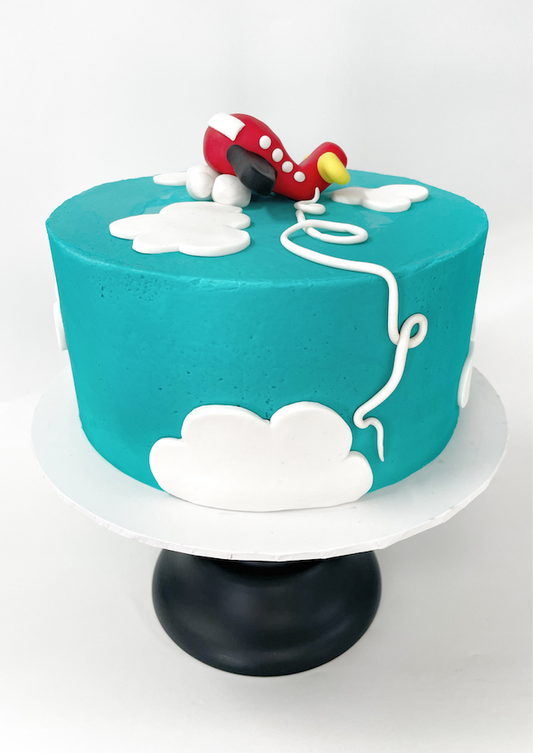 Plane DIY Cake Kit, Sky Cake, Aeroplane Cake Kit, Plane Party Cake, The Best Plane Cake. Fly Away, Travel Cake.