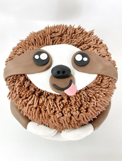 Sloth Cake Kit, Animal Cake Kit, DIY Cake Kit