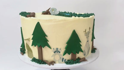 Into The Wild Cake Kit